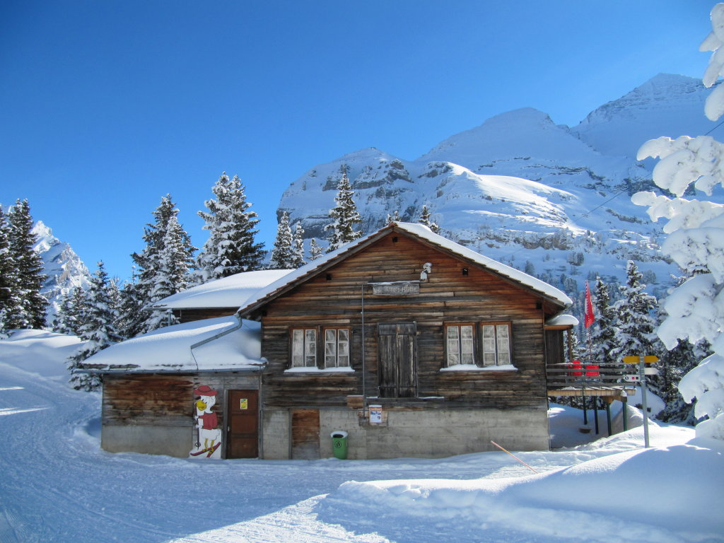 SAC Altels Newsletter