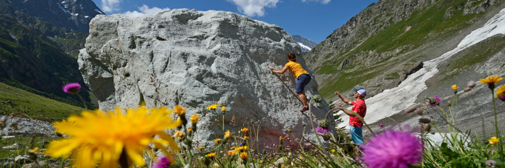 bouldern_blumen.jpg